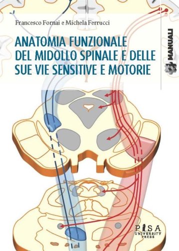 Anatomia funzionale del midollo spinale e delle sue vie sensitive e motorie