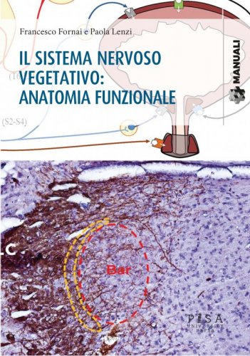 Il sistema nervoso vegetativo: Anatomia funzionale