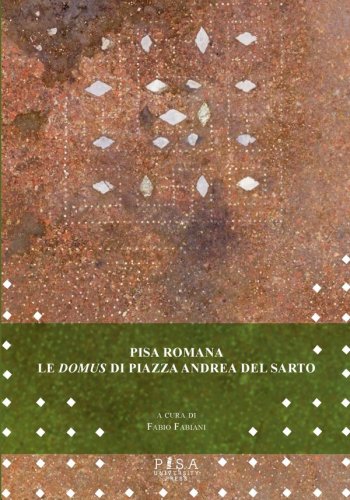 Pisa romana - Le Domus di piazza Andrea del Sarto