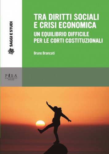 Tra diritti sociali e crisi economica - un equilibrio difficile per le corti costituzionali