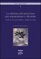 La riforma del processo per separazione e divorzio - Tutele sostanziali e processuali. Studi in memoria dell'avv. Jaccheri